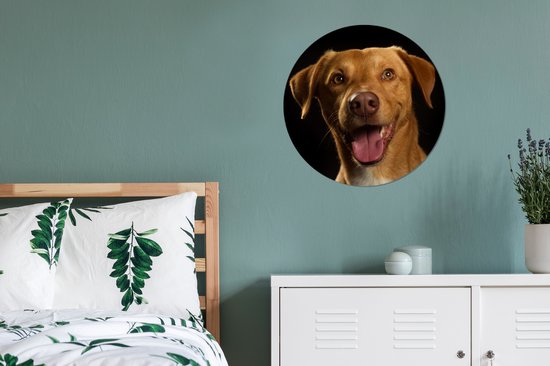 Wallpaper Circle - Chien - Animaux domestiques - Portrait - 80x80 cm - Wall Circle