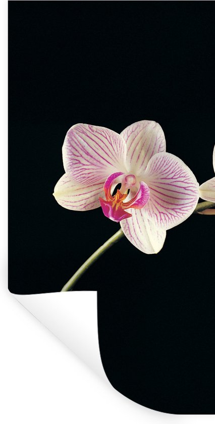 Muurstickers - Sticker Folie - Orchidee - Bloemen - Zwart - Roze - Knoppen - 80x160 cm - Plakfolie - Muurstickers Kinderkamer - Zelfklevend Behang - Zelfklevend behangpapier - Stickerfolie