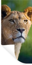 Muurstickers - Sticker Folie - Portret - Leeuw - Wild - 60x120 cm - Plakfolie - Muurstickers Kinderkamer - Zelfklevend Behang - Zelfklevend behangpapier - Stickerfolie