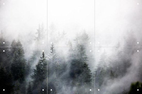 IXXI Foggy Woods 6 - Wanddecoratie - Fotografie