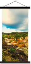 Posterhanger incl. Poster 60x120 cm - Schoolplaat - Vallei bij Schoorl in de duinen - Textielposter - Zwarte latten