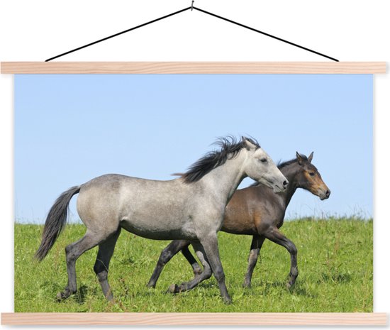 Affiche textielposter cheval marron et gris 60x40 cm