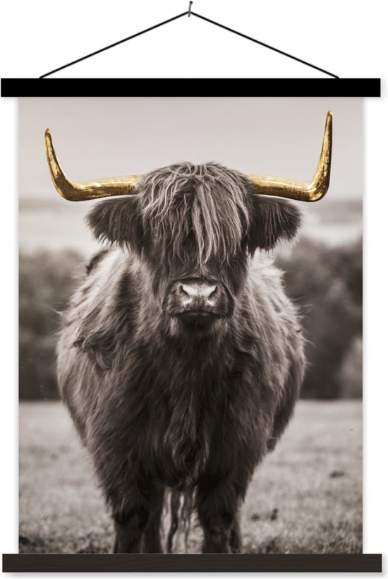 Affiche scolaire - Highlander écossais - Corne - Or - 90x120 cm - Lattes noires