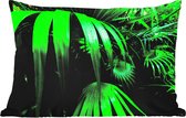 Buitenkussens - Tuin - Palmbladen in de jungle - 50x30 cm