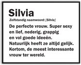 Silvia Woordenboek Fotolijst met glas 30 x 40 cm - Prachtige kwaliteit - jarig - verjaardag - kado - Canvas - incl ophangsysteem - Poster - Grappig - cadeau