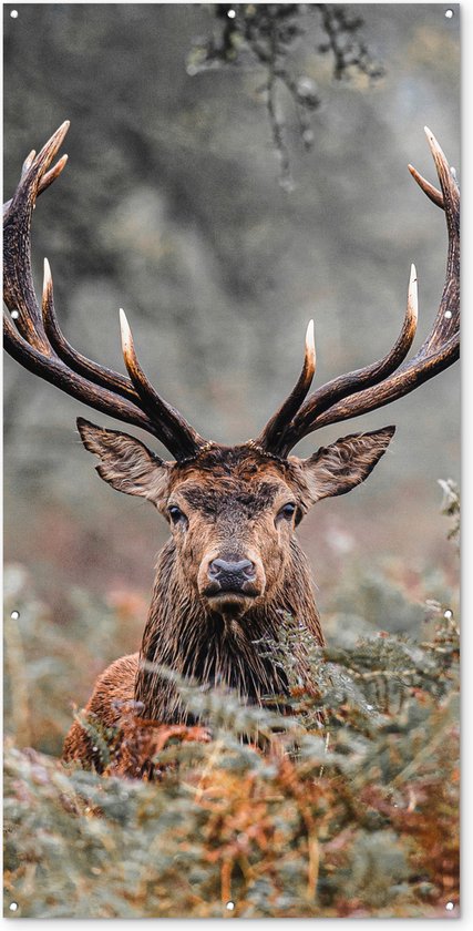 Foto: Schuttingposter hert natuur herfst bosdieren 100x200 cm tuindoek