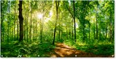 Wanddecoratie buiten Bos - Zon - Boom - 160x80 cm - Tuindoek - Buitenposter