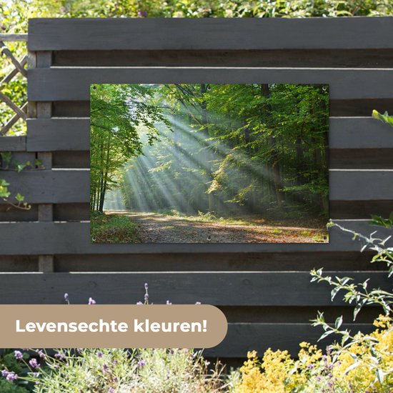 Tuinposter 120x80 cm - Tuindecoratie Lente - Bos - Boom - Poster voor in de tuin - Buiten decoratie - Schutting tuinschilderij - Tuindoek muurdecoratie - Wanddecoratie balkondoek