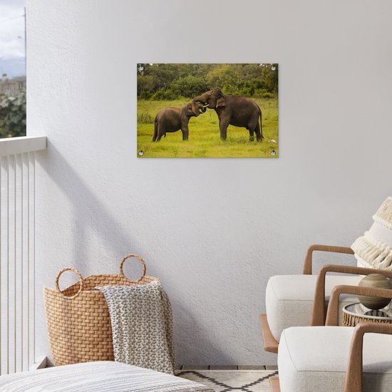 Décoration de jardin Deux éléphants combattants - 60x40 cm - Poster jardin - Toile jardin - Poster extérieur