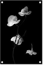 Tuindecoratie Orchidee - Bloemen - Zwart - Wit - Stilleven - 40x60 cm - Tuinposter - Tuindoek - Buitenposter