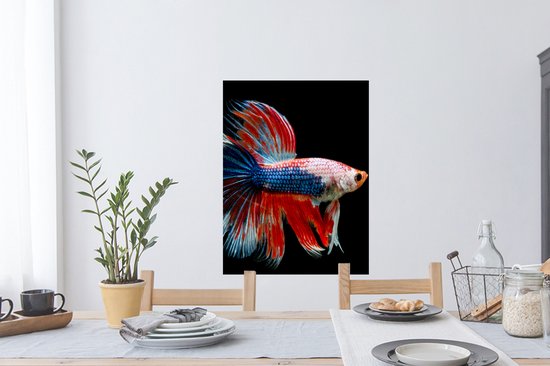 Stickers muraux - Film autocollant - Poisson - Animal marin - Staart - Blauw - 60x80 cm - Film adhésif - Stickers muraux chambre enfant - Papier peint autocollant - Papier peint autocollant - Film autocollant