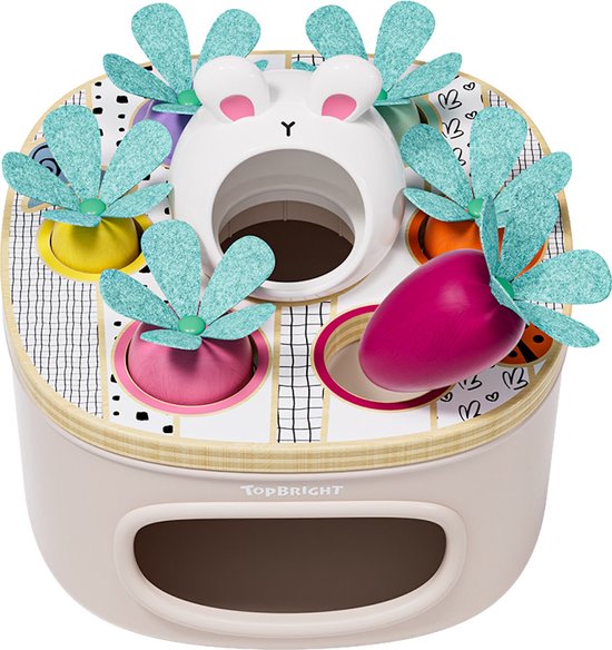 Topbright Match & Sort Worteltjes Vormenstoof TB-121103