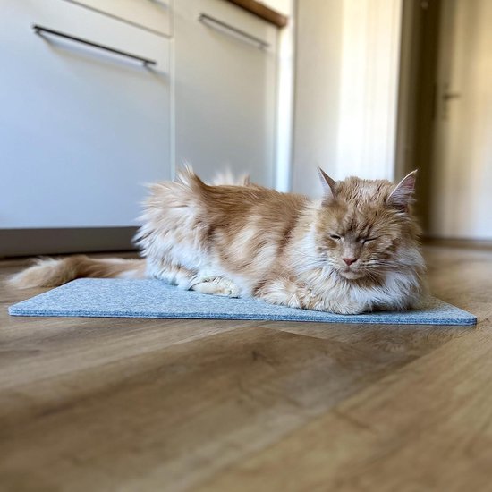 LucyBalu VIEW Hoogwaardige ligstoel, kattenbank, kattenbank, ligstoel met vilten bekleding en metalen bevestiging, 64 x 32 x 2 cm, antraciet