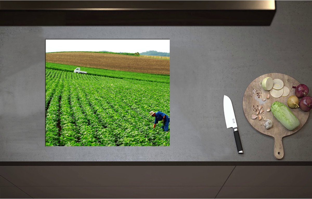 Inductieplaat Beschermer - Boer werkend op het Land vol Gewassen - 60x52 cm - 2 mm Dik - Inductie Beschermer - Bescherming Inductiekookplaat - Kookplaat Beschermer van Zwart Vinyl