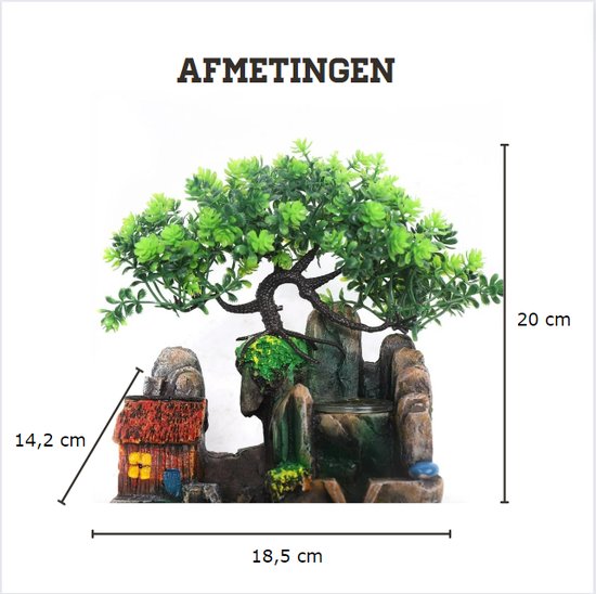 Arnusa