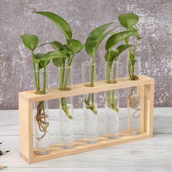 Interior Van Het Laboratorium Voor Wetenschappelijk Onderzoek Naar Planten Die De Reageerbuizen Groeien Binnenland Leeg Science Image226119150