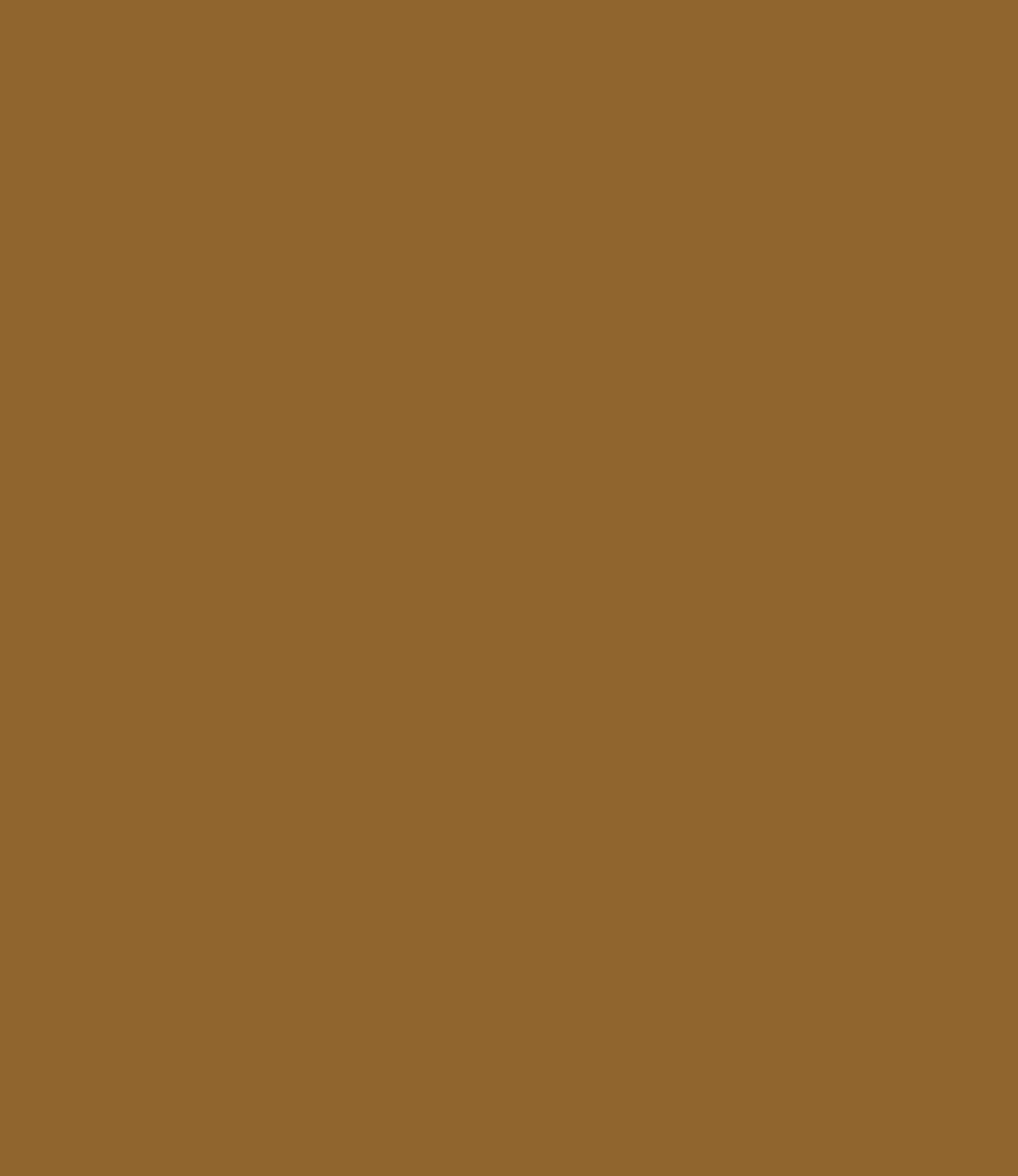 Carte Colori Calcare Kalkverf Mostarda CC039 2,5 Liter