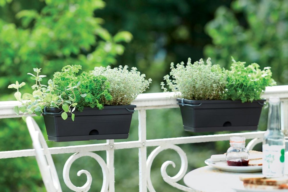 Elho Green Basics Balcony Planter Mini 30