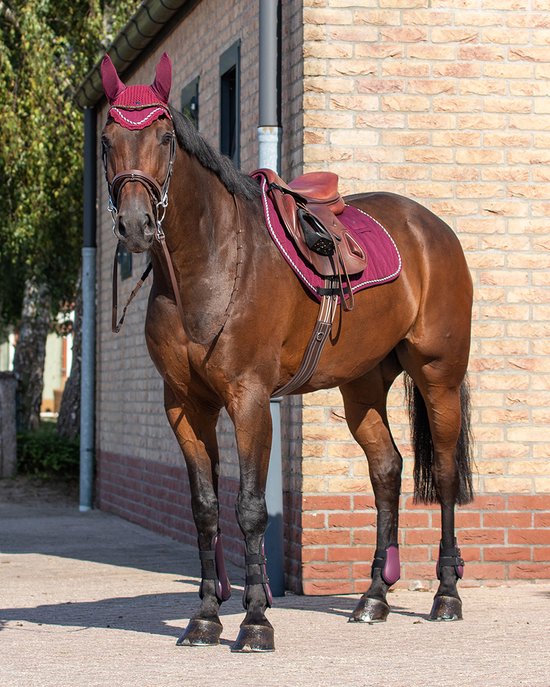 Bruin paard met een donkerrode sjabrak, oornetje en beenbeschermers.