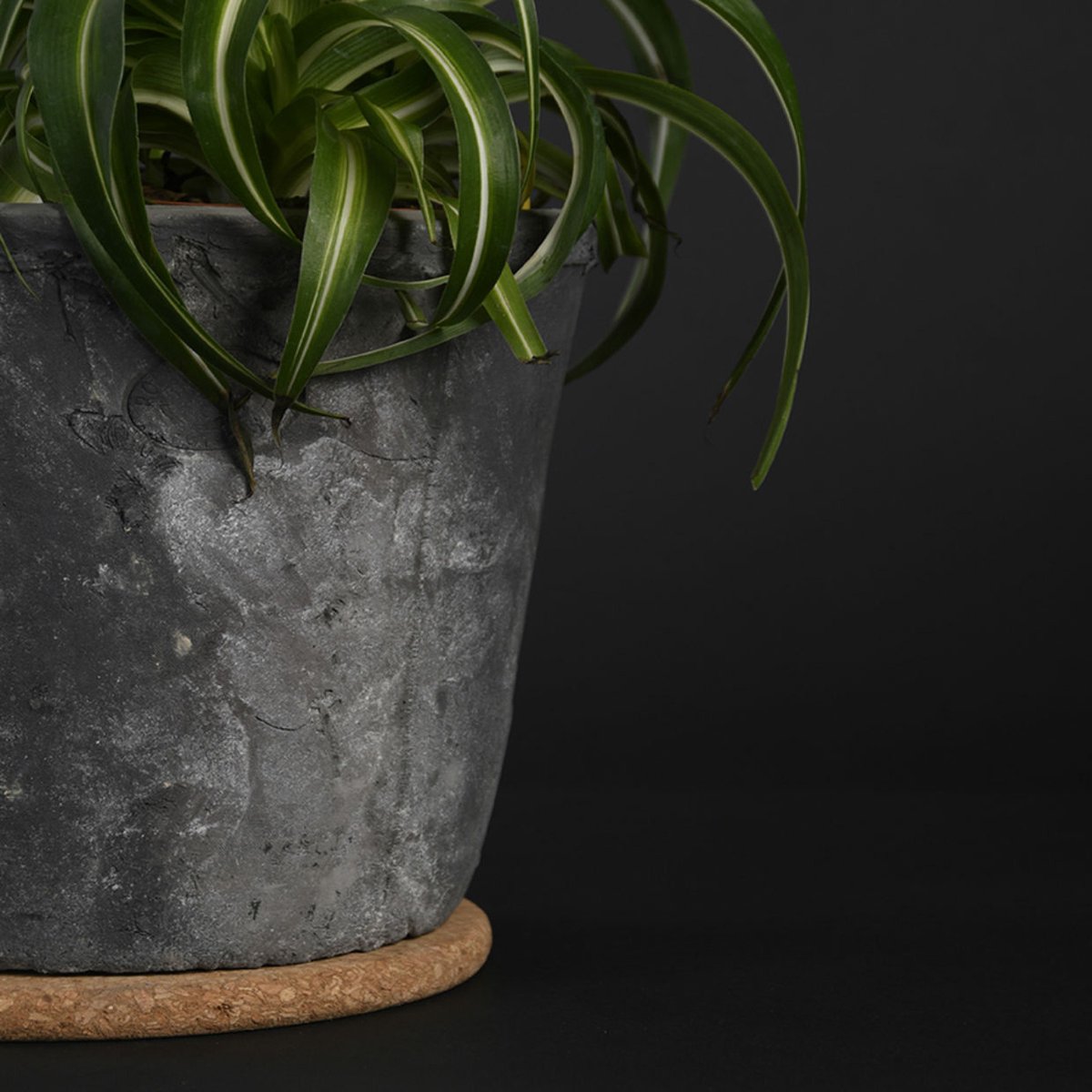 Esschert Design plantenpot onderzetter - 4x - van kurk - D10 x 1 cm - voorkomt kringen - vloer bescherming — cadeau in Cadeau-ideeën - foto 3