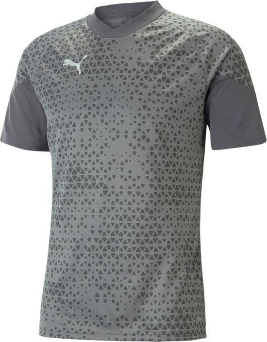 Puma Team Cup T-Shirt Heren - Grijs | Maat: XXL