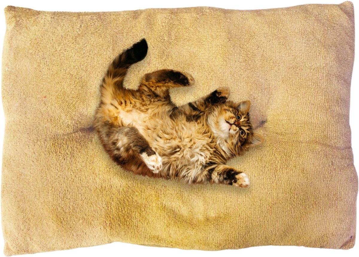 Pochon - Hondenkussen - Bruin - 60x45 Cm - Bruin