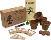Bonsai Starters Kit - Boompje Inclusief Gereedschap - Schaar - Zaden - Premium Set