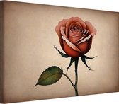 Vintage roos schilderij - Roos schilderijen - Canvas schilderij Plant - Vintage schilderij - Canvas schilderijen - Kunst aan de muur 150x100 cm