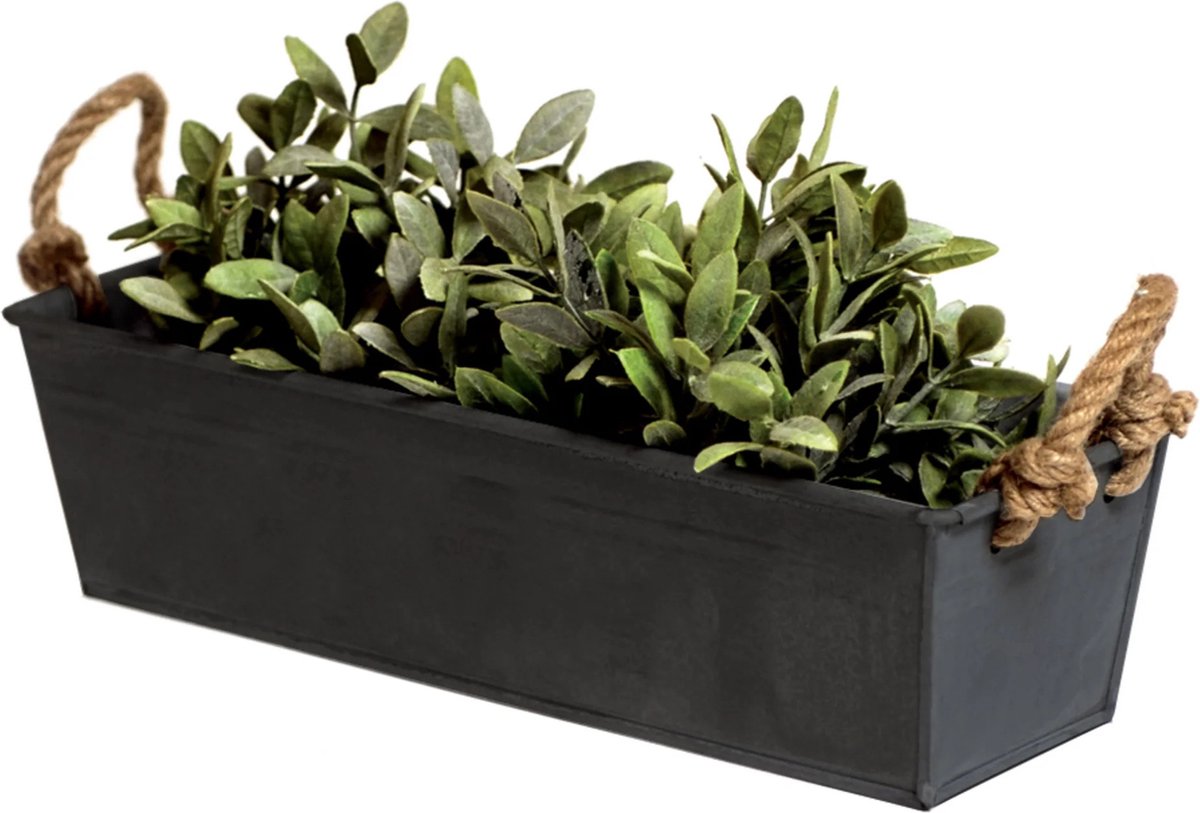 Goedkoopste Mega Collections plantenbak/bloembak Recta - balkon/terras - zink - zwart - L50 x D17 X H16 cm