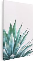 Artaza Canvas Schilderij Agave Plant op een Witte Achtergrond - 40x60 - Wanddecoratie - Foto Op Canvas - Canvas Print