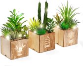 Set van 3 kunstmatige vetplanten met ledlampen in houten kist - Ideaal voor woon-/kantoordecoraties en tafeldecoratie - Valentijnsdag nep planten