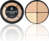 Beautiful Brows & Lashes- Cream Camouflage- Mix Concealer- Brow Concealer