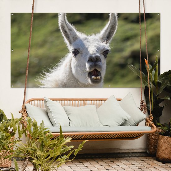 Affiche de clôture Lama - Drôle - Enfants - Garçons - Filles - Kids - 200x100 cm - Toile de jardin