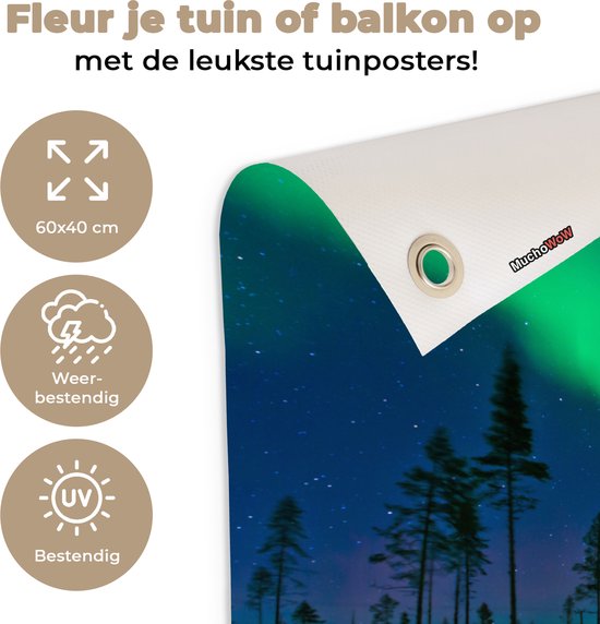 Northern Lights above Sweden Garden poster 60x40 cm - petit - Toile de jardin / Toile d'extérieur / Peintures d'extérieur (décoration de jardin)