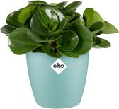 Elho Brussels Rond Mini 10.5 - Pot De Fleurs pour Intérieur - Ø 11.0 x H 9.7 cm - Vert