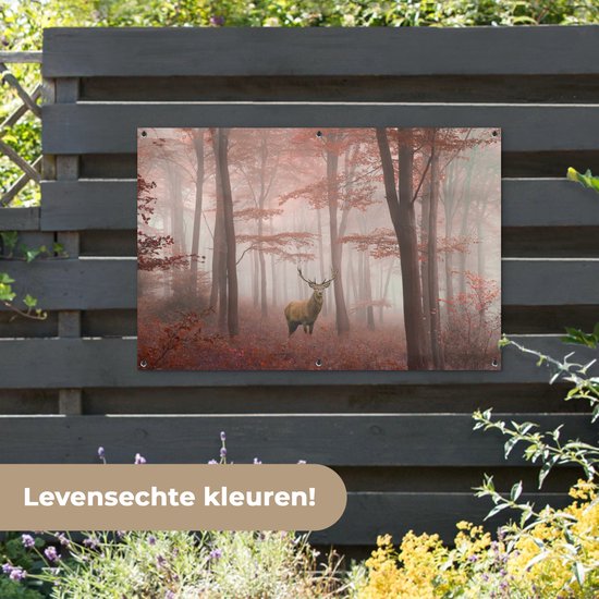 Affiche de jardin Cerf - Forêt - Rouge - Automne - 120x80 cm - Jardin