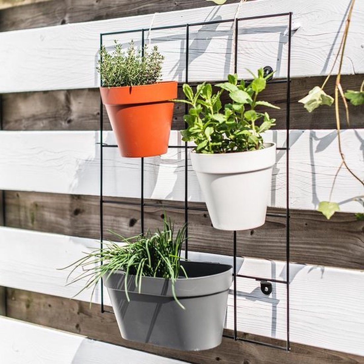 Elho Loft Urban Green Wall Pot Single 15 - Pot de fleurs pour l'extérieur