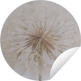 Tuincirkel Bloemen - Paardenbloem - Design - 150x150 cm - Ronde Tuinposter - Buiten