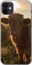 Geschikt voor iPhone 12 mini hoesje - Schotse Hooglander - Zonsondergang - Gras - Siliconen Telefoonhoesje