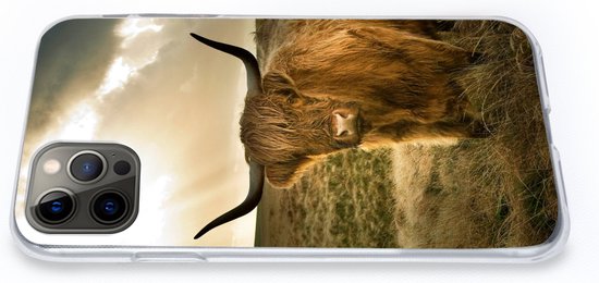 Coque iPhone 13 Pro - Highlander écossais - Soleil - Animaux - Siliconen