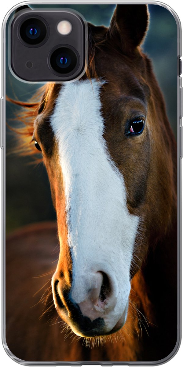 Telefoonhoesje Geschikt voor iPhone 13 hoesje - Paard - Kop - Licht - Siliconen Telefoonhoesje Telefoonhoesje