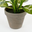 La base d'une plante artificielle Dieffenbachia verte dans un pot gris, les tiges sont visibles.