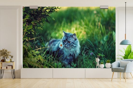 Papier peint Papier peint photo en vinyle - Chat gris largeur 330 cm x hauteur 220 cm - Tirage photo sur papier peint (disponible en 7 tailles)