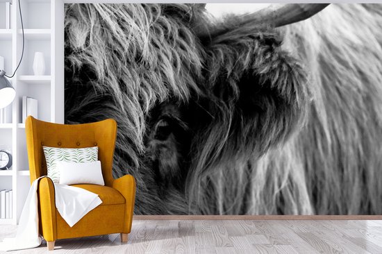 Papier peint Papier peint photo en vinyle - Highlander écossais Zwart et blanc largeur 360 cm x hauteur 240 cm - Tirage photo sur papier peint (disponible en 7 tailles)