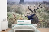 Papier peint photo peint photo vinyle - Cerf avec oiseau largeur 600 cm x hauteur 400 cm - Tirage photo sur papier peint (disponible en 7 tailles)