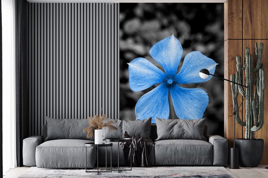 Papier peint - Papiers Papier peint photo Fleurs - Blauw - Zwart - Wit - Largeur 225 cm x hauteur 350 cm