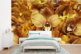 Papier peint photo peint photo vinyle - Les orchidées orange flamboyantes largeur 375 cm x hauteur 280 cm - Tirage photo sur papier peint (disponible en 7 tailles)