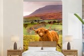 Behang - Fotobehang Schotse hooglander - Bergen - Natuur - Breedte 195 cm x hoogte 300 cm