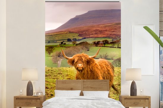 Behang - Fotobehang Schotse hooglander - Bergen - Natuur - Breedte 195 cm x hoogte 300 cm