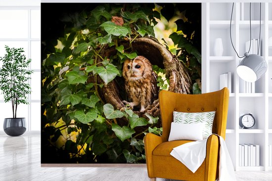 Papier peint vinyle - Un hibou fauve dans un tronc d'arbre largeur 300 cm x hauteur 300 cm - Tirage photo sur papier peint (disponible en 7 tailles)